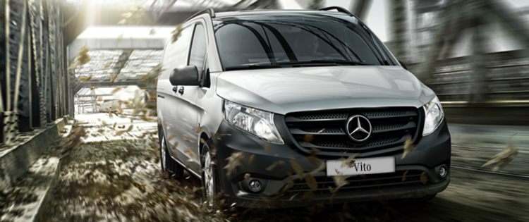 Vito Vito